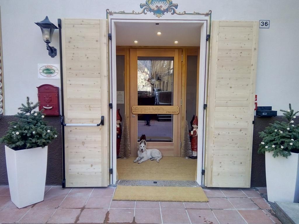 Albergo Stelvio بورمْيو المظهر الخارجي الصورة